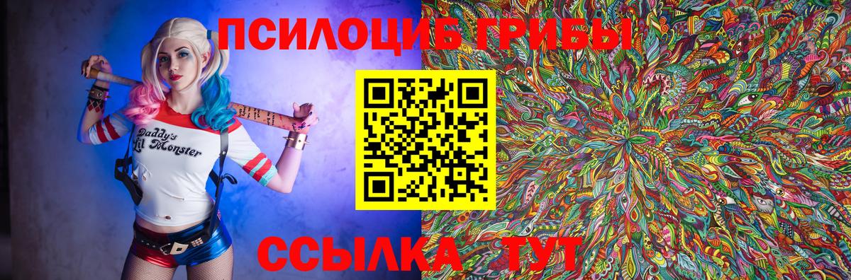Псилоцибиновые грибы мицелий  Вход с VPN  Елизово 